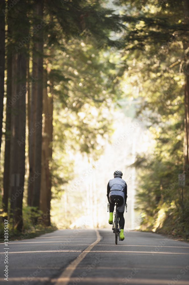 Rear view of cyclist riding bicycle on road by trees Rear view of cyclist riding bicycle on road by trees