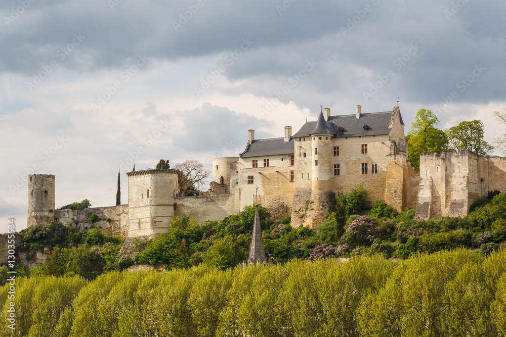 Ruins of the Chinon castle, France