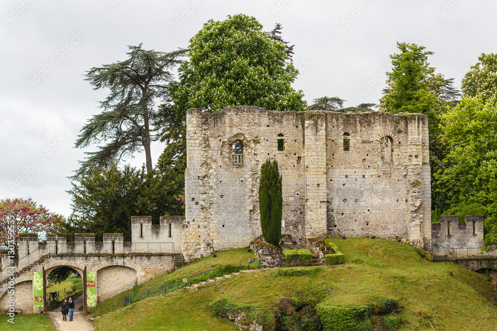 Ruins of the old castle of Langeais, France