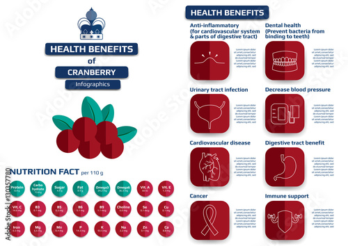 health benefits of cranberry infographic, supplement medical vector illustration for education.
