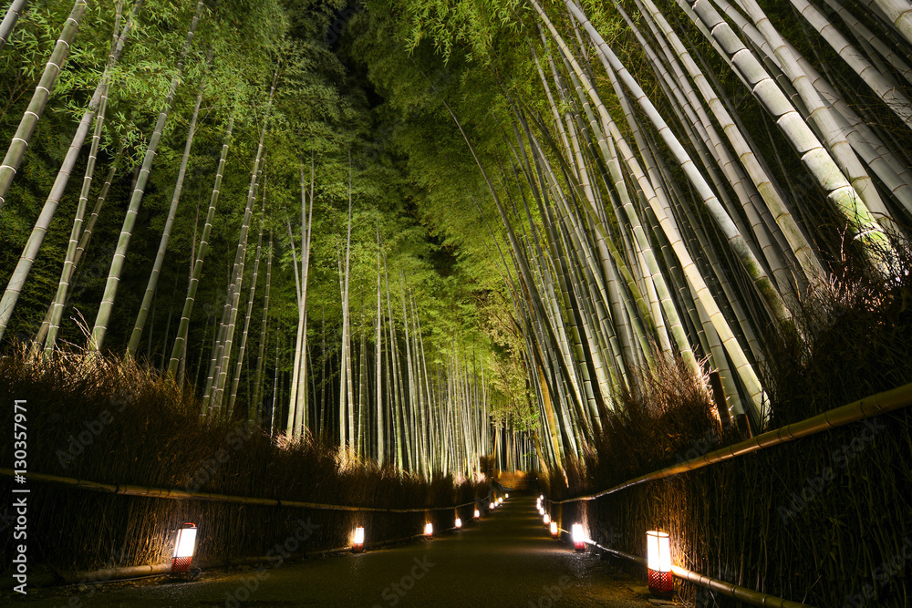 Naklejka premium Path of lanterns in a bamboo forest for the night illumination festival in Kyoto, Japan