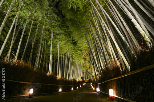 Path of lanterns in a bamboo forest for the night illumination festival in Kyoto, Japan
