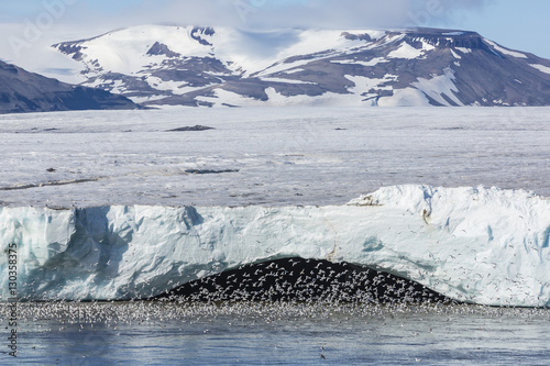 Negribreen (Negri Glacier), Olav V Land, Spitsbergen, Svalbard Archipelago  photo