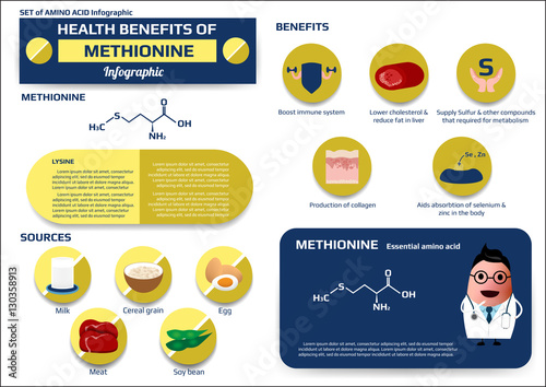 Health benefits of methionine(essential amino acid) infographic,supplement and nutrition vector illustration