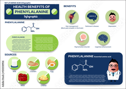 Health benefits of phenylalanine (essential amino acid) infographic, supplement and nutrition vector illustration photo