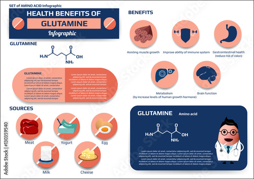 Health benefits of glutamine (amino acid) infographic, supplement and nutrition vector illustration photo