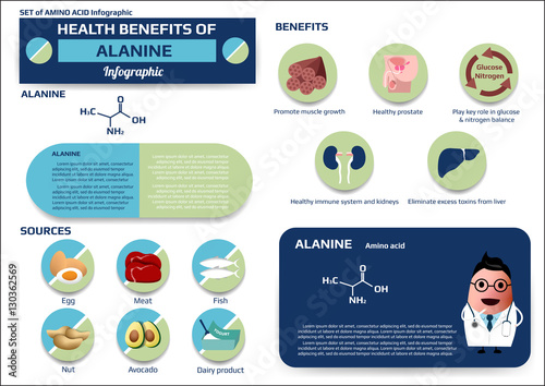 Health benefits of selenocysteine (essential amino acid) infographic,supplement and nutrition vector illustration