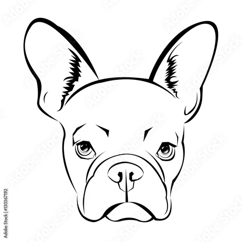 dog vector breed pet animal bulldog french