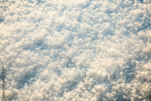 Snow texture background closeup in sunny evening in winter. Selective focus.