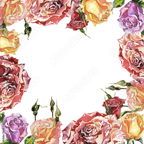 Wildflower rose flower frame in a watercolor style isolated.