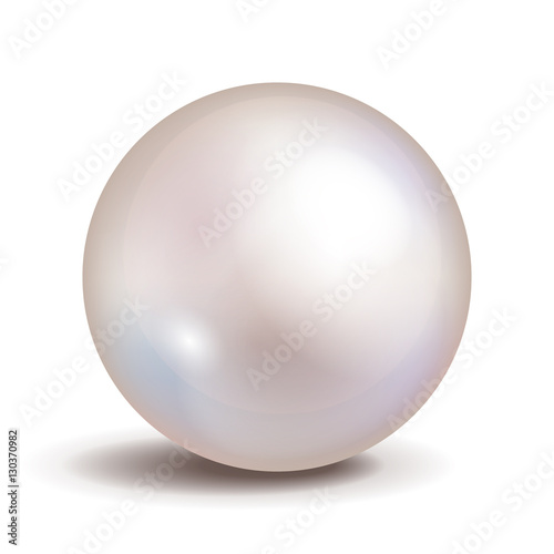 Vector pearl isolated on white background. Shiny oyster ball for luxury accessories