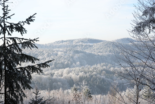 Wald mit Aussicht, Mittelgebirgslandschaft, hügeliger Mischwald von Raureif bedeckt photo