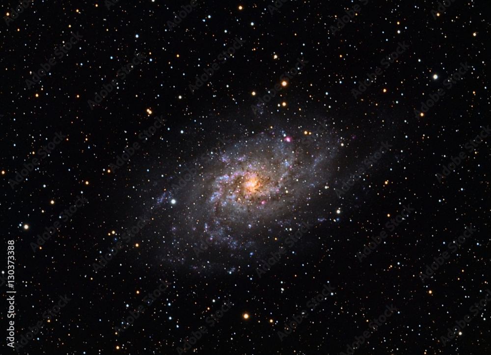Fototapeta premium Messier 33 Triangulum Galaxy