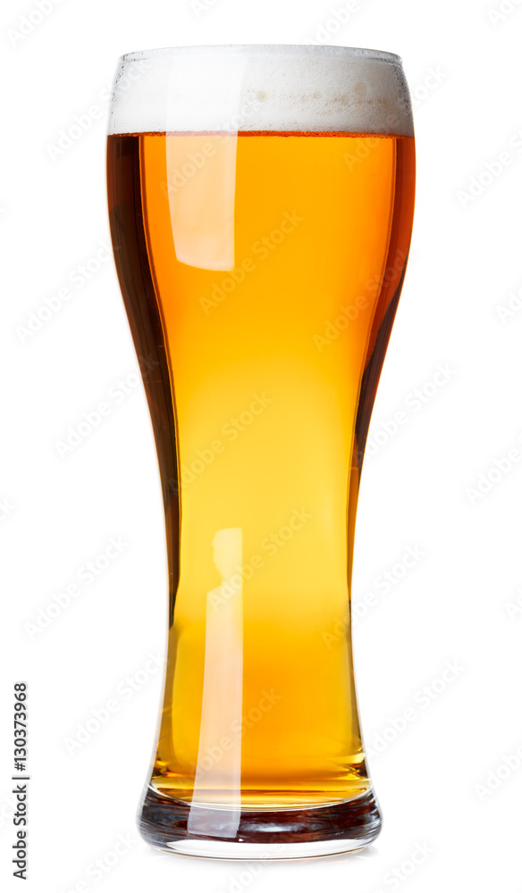 Tall glass of pilsner beer with head isolated Tall glass of pilsner beer with head isolated