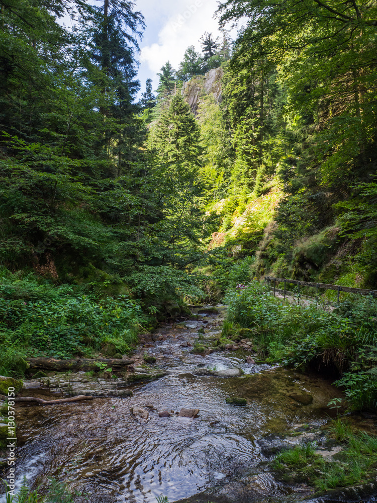 Paisaje de la Selva Negra en  Allerheiligen, Alemania, en el verano de 2016 OLYMPUS CAMERA DIGITAL
