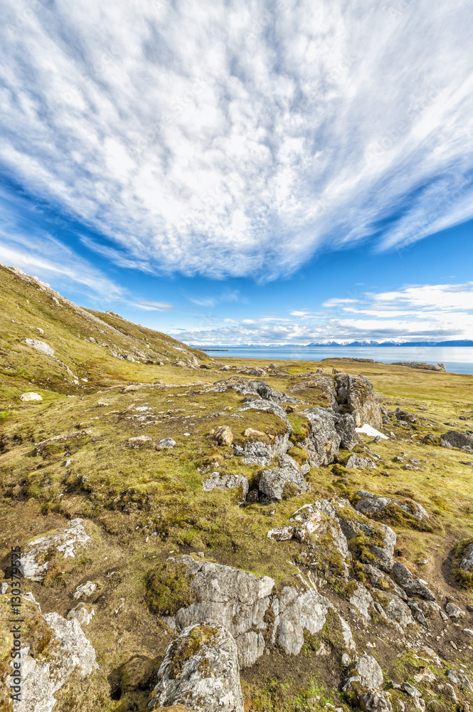 Alkehornet, Spitsbergen West coast, Svalbard archipelago 