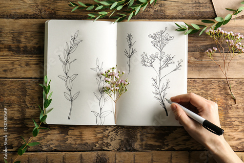 Female hand drawing plants in sketchbook on wooden background photo