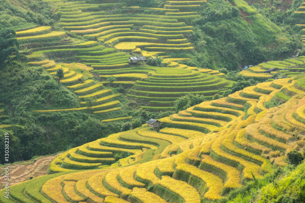 beautiful view of house and village in rice terrace at tu le ,mu cang chai , vietnam beautiful view of house and village in rice terrace at tu le ,mu cang chai , vietnam