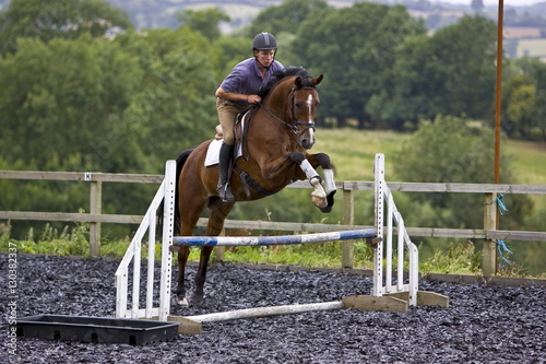 Young man schools a Dutch Warmblood horse, Oxfordshire