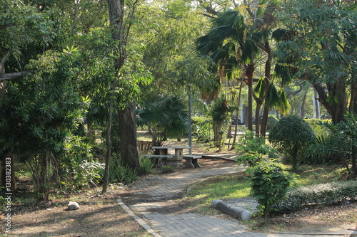 Wlaking road in park photo