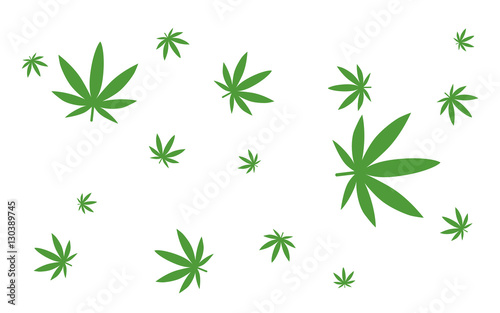 Cannabis - Marijuana - Hanf