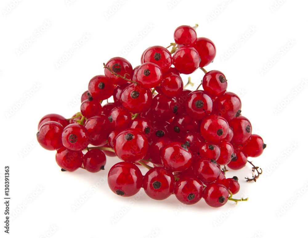 red currant red currant