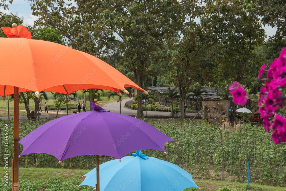Colorful umbrellas outdoor in the garden.