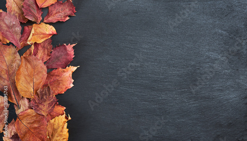 Autumn leaves on slate table - Text space on the right