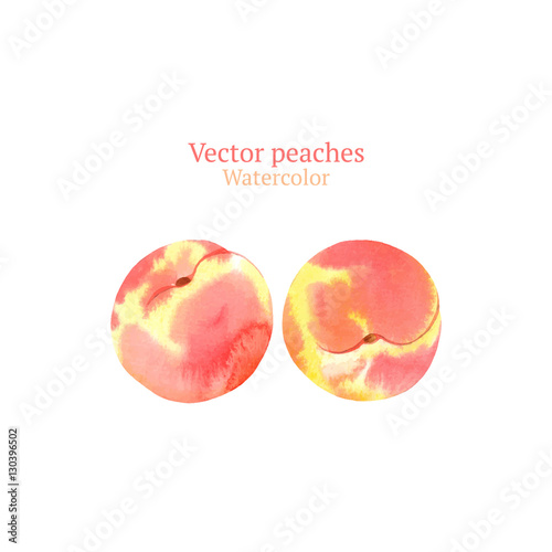Watercolor vector peaches