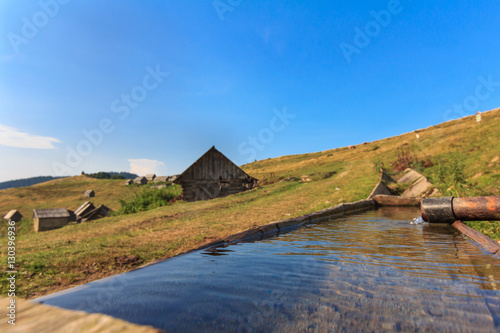 drinking water from a wooden trough