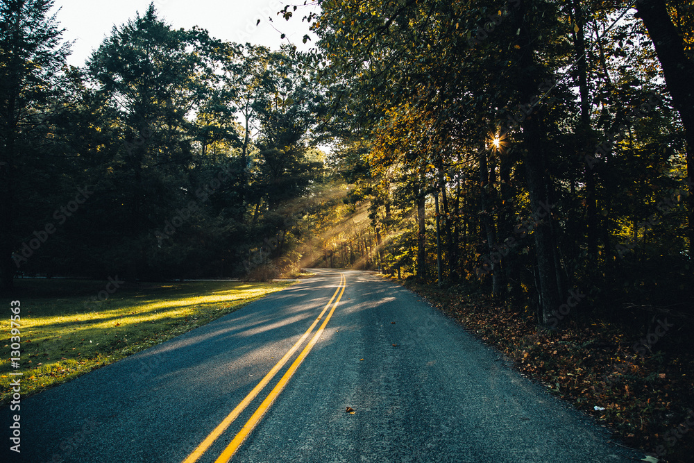 Fototapeta premium Fall Roadtrip