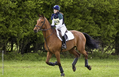 Young woman rides Cleveland Bay cross Thoroughbred bay horse in cross-country section at eventing competition photo