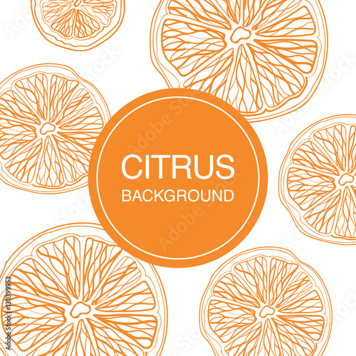 Citrus fruit sketch on white background square composition