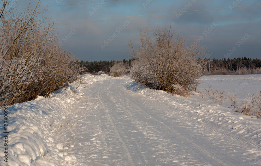 Obraz premium Frosty winter. Christmas. Cold - twenty-five degrees Celsius below zero. Rural road covered with sparkling white snow. Background.