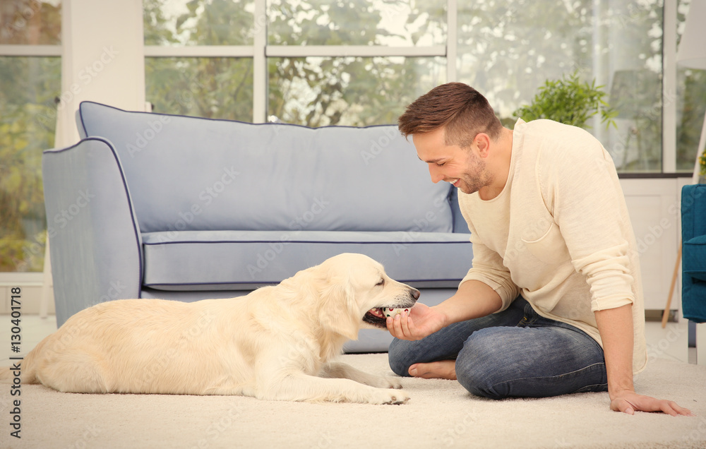 Handsome man playing with labrador at home Handsome man playing with labrador at home