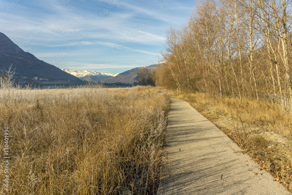 park, forest with frost, winter landscape park, forest with frost, winter landscape