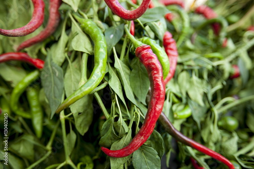Red and green chili peppers, Capsicum pubescens, on sale in food market in Pienza, Tuscany photo