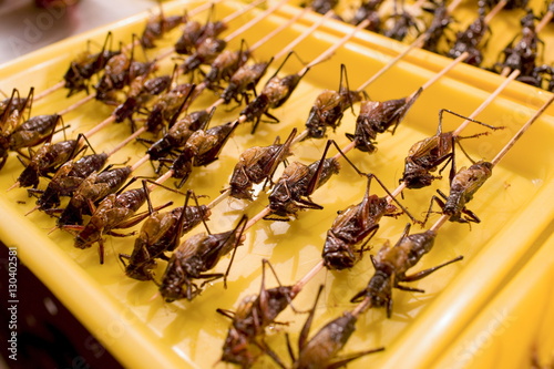 Deep fried grasshoppers for sale in the Night Market, Wangfujing Street, Beijing, China photo