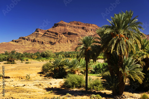 Desert landscape in Draa Valley, Morocco, Africa