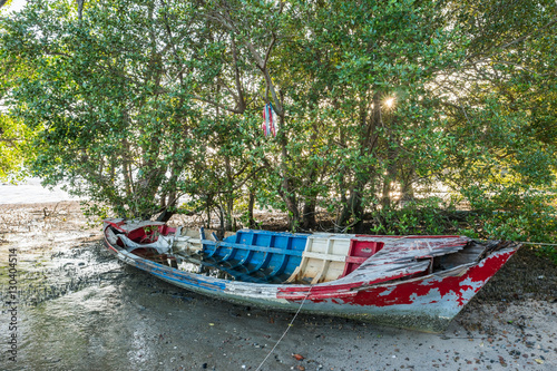 Boat wreck with Mangroves.