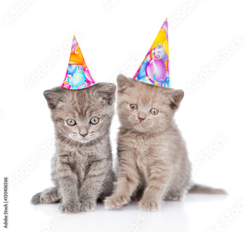 Two funny kittens with birthday hats. isolated on white background