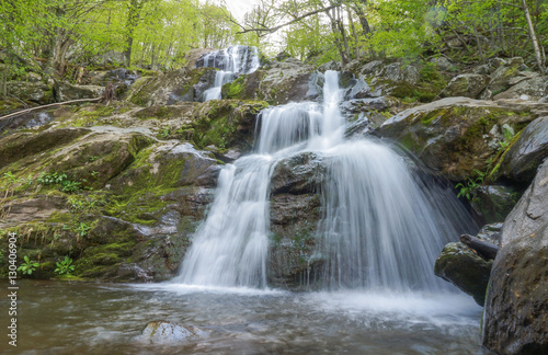 Fototapeta Naklejka Na Ścianę i Meble -  Dark Hollow Falls in Shenandoah National Park