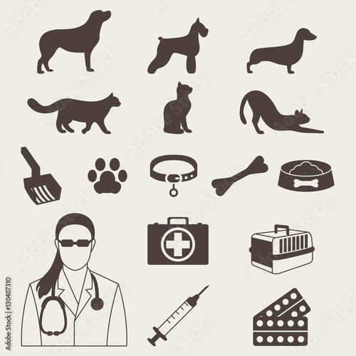 Veterinary clinic set with dog and cat and laboratory equipment