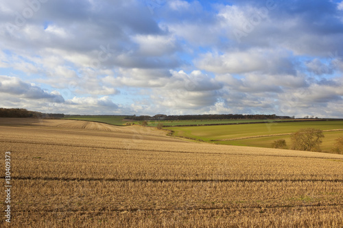 agricultural vista