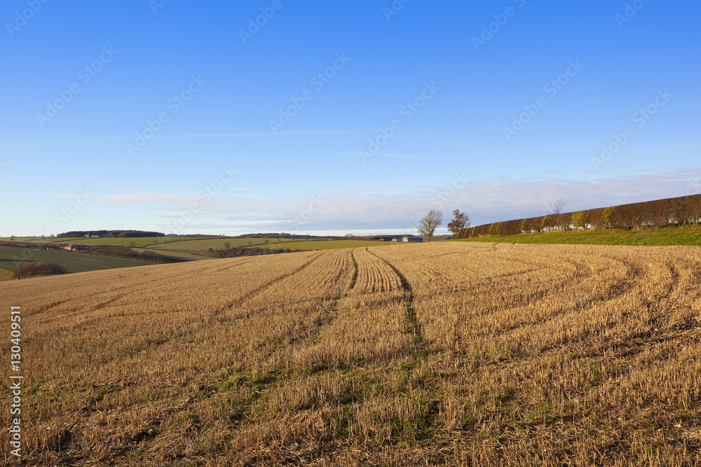straw stubble landscape