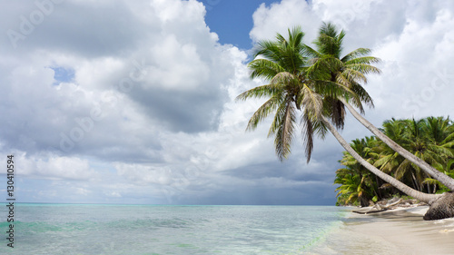 Fototapeta Naklejka Na Ścianę i Meble -  Tropical beach with palms in Caribbean Sea