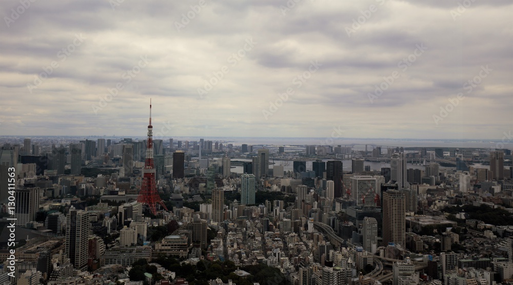 Landscape of Tokyo city on cloudy day