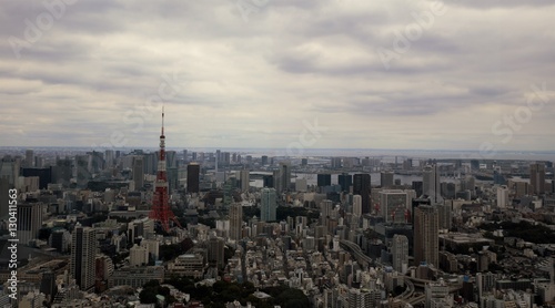 Landscape of Tokyo city on cloudy day