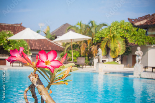 beautiful Bali pool