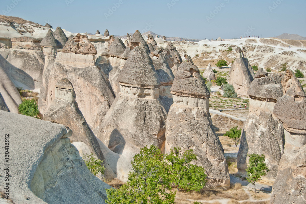 Valley of fairies at Turkey Cappadocia park Goreme
